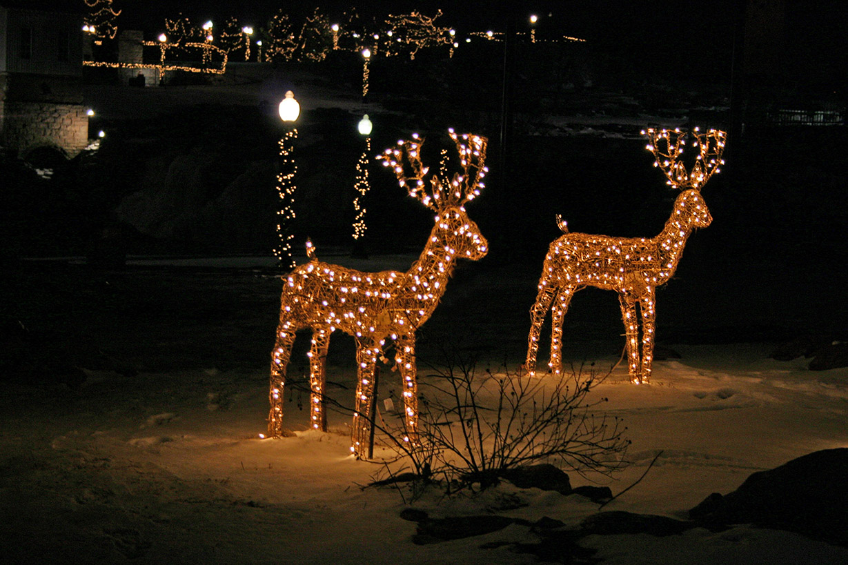 lit up deer decorations with christmas lights